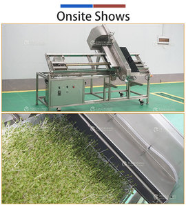 Ligne de traitement commerciale pour feuilles de pandan, herbe de blé et pousses de haricot, machine de lavage et de découpe du blé - Product Image 4