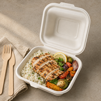 Boîte à clapet jetable en bagasse de canne à sucre, compartiment unique, pour la restauration à emporter et les services de traiteur (vente en gros)