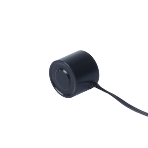 Kuvvet 70N Mini yuvarlak elektro mıknatıs <span class=keywords><strong>12v</strong></span> 24v DC tutma <span class=keywords><strong>Electromagnet</strong></span> <span class=keywords><strong>Electromagnet</strong></span> - Product Image 1