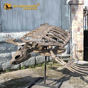 Il mio DINO AS-063 artificiale ad alta simulazione 3d scheletro animale Archelon tartaruga fossile - Product Image 2