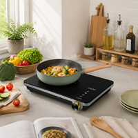 Fournisseur de plaques à induction OEM 2000W, plaque de cuisson électrique portable avec commande tactile et protection contre la surchauffe