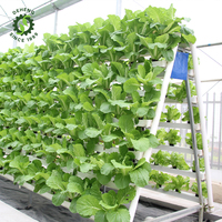 Gouttière de plantation hydroponique à effet de serre moderne pour la culture de légumes en hydroponique Cloner