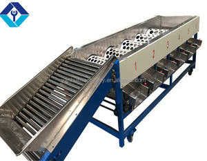 Machine de tri et de classement de fruits et légumes nouvelle condition - Product Image 6