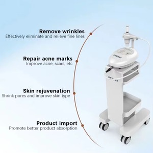 Dispositivo de Mesoterapia por Electroporación No Invasiva Litian LT-DEP2 para la Eliminación de Arrugas, Reducción de Líneas de Expresión y Tratamiento de Grasa - Product Image 1