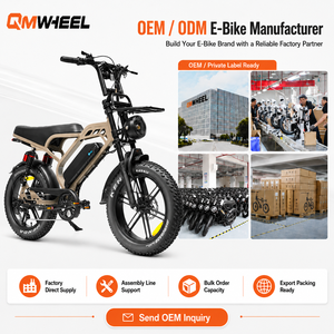 QMWHEEL V20 Limited Electric Mountain Bike 48V 20x4.0 Kenda Fat Tire Rear Dual Suspension Bulk Order Dealers OEM ODM B2B Supply - Product Image 1