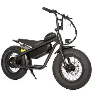 Vélo d'équilibre électrique pour enfants, moteur 250W, style Stacyc, mini vélo d'équilibre électrique pour enfants