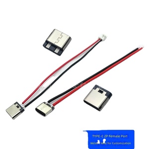 Connecteur femelle Type-C 2P à souder, bornes simples PH20, câble DIY à deux conducteurs, prise de charge USB-C, modèle ZK5582, 3cm/10cm - Product Image 2