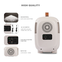 Mini réfrigérateur Portable 4l, nouveau modèle OEM, soins de beauté de luxe, maquillage, cosmétiques