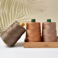 Fil de polypropylène PP monofilament multifilament 600d DIY pour le tricot de sacs