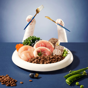 מזון יבש טבעי לחתולים עם טאורין ואומגה-3 - חלבון גבוה ייצור לפי הזמנה בכמויות גדולות יצוא מסין - Product Image 3