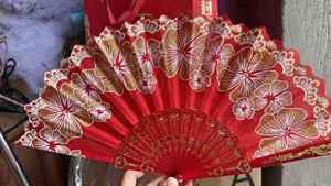 Abanico de mano plegable de plástico colorido con encaje para fiestas, festivales, espectáculos, bodas de verano, regalo, danza, venta al por mayor, chino/español - Product Image 3