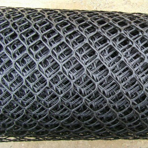 Lưới lưới 2 năm trực tuyến hỗ trợ kỹ thuật <span class=keywords><strong>HDPE</strong></span> nhựa <span class=keywords><strong>PP</strong></span> sợi thủy tinh đường lái xe hai trục nhựa <span class=keywords><strong>geogrid</strong></span> khá hiện đại màu đen 2.5m - Product Image 4