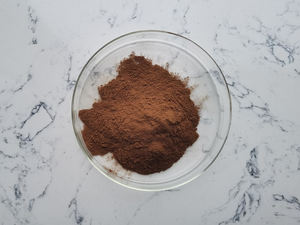 タンポポパウダー中国工場提供 - Product Image 5