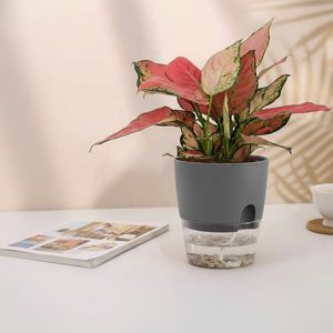 Vaso Autoirrigante con Base Trasparente, Ecologico, in Plastica ABS Durevole, con Indicatore di Livello dell'Acqua, Design Moderno per Giardino e Vivaio - Product Image 3