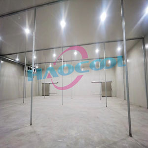 حاوية تبريد بطول 6 أمتار وسعة 28 متر مكعب، 20 قدمًا، غرفة تبريد للتخزين مع ضاغط كوبلاند وعلبة تروس ومحامل لتخزين اللحوم والأسماك - Product Image 6