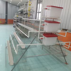 Gabbia per Galline Ovaiole in Acciaio Zincato a Caldo per Allevamento di Pollame, Gabbie per Uova in Vendita - Product Image 2