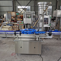 Machine de remplissage complète pour vin, boissons, Vodka, whisky, alcool, plantes, ligne de bouteilles, ml