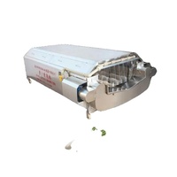 Prix d'usine Radis blanc Radis d'été Brosse Machine à laver