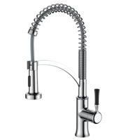 Robinet de cuisine monocommande de luxe contemporain, avec douchette extractible, pour usage hôtelier, eau chaude et froide