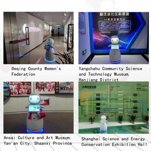 Robot de Servicio Inteligente para Recepción y Bienvenida en Hoteles, Bancos y Comercios con IA - Product Image 6