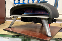 Four à pizza au gaz 16 pouces, brûleur à gaz pour four à pizza