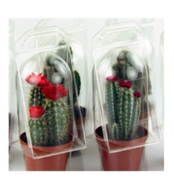 Emballage avec clapet en pvc transparent pour animaux domestiques, boîte personnalisée pour expédition de plantes