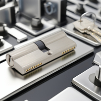 Cilindro de Cerradura de Puerta de Estilo Europeo de Lujo de Alta Calidad al por Mayor con Llaves de Computadora y Herrajes de Cerradura de Embutir