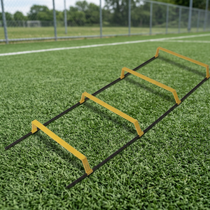 Elevated <b>Ladder</b> - Product Image 3