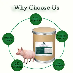 Mangime premiscelato probiotico complesso di suini per bestiame e pollame mangime per suini premiscelato bestiame probiotico intestinale