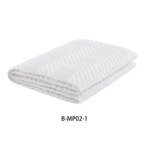 Moderner Stil Luxus Nachhaltige Wasser matratze Pad King Queen Size Matratze Pad Pillow Top Matratze
