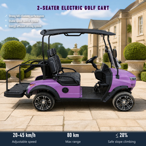 Voiturette de golf électrique 2 places toutes saisons, moteur étanche IP65, de -30 à 55 degrés Celsius pour terrains pluvieux, OEM ODM personnalisable disponible - Product Image 1