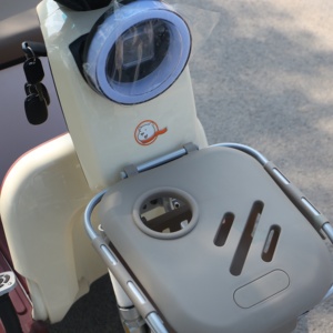 2025 MD triciclo elettrico per la casa piccolo triciclo per le donne auto elettrica per gli anziani tre ruote Scooter elettrico - Product Image 4