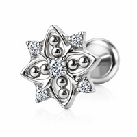 Perhiasan Tindik Labret Titanium ASTM F136 Bentuk Bunga Bintang Datar untuk Tulang Rawan Helix Tragus Warna Emas Baja, Cocok untuk Hadiah