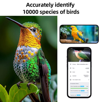 Hibirds 4MP 5200mAh batterie 1.8L capacité mangeoire à oiseaux caméra solaire AI identifier les chassant les écureuils Capture