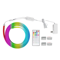 2022 Flexibele Neon Licht Dc 12V Modieuze Led Dmx Flex Neon Teken Voor Outdoor Of Indoor Wandmontage
