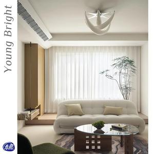 Lámpara de techo LED Young Bright Crescent de montaje en superficie, de un solo cabezal, para dormitorio y comedor - Product Image 3