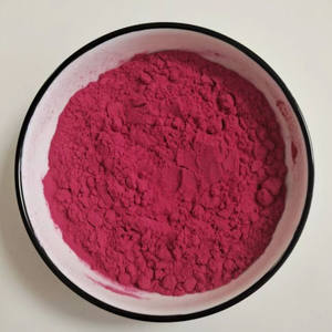 Pó Natural de Fruta de Cacto Opuntia Ficus-indica Extrato em Pó de Fruta de Cacto - Product Image 4