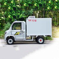 Camionnette frigorifique électrique légère à quatre roues pour livraison, petite boîte de chargement, à vendre