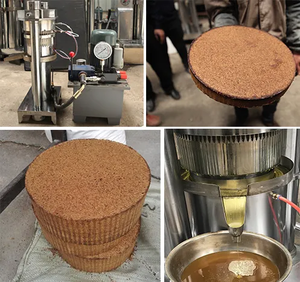 Ticari yağ baskı makinesi çıkarıcı siyah tohumları fıstık kolza yağı basın otomatik yüksek kalite pişirme yağ yapma makinesi - Product Image 3