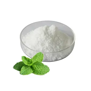 Mint Powder High Quality SUPER CONCENTRATED Instant Mint Powder for Food Flavoring