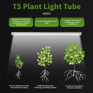 Bán Buôn T8 Veg Nở Phát Triển Ánh Sáng Lm301b 20W 30W 36W 48W 60W <span class=keywords><strong>80W</strong></span> Quang Phổ Đầy Đủ Duy Nhất Thanh <span class=keywords><strong>LED</strong></span> Phát Triển Ánh Sáng - Product Image 4
