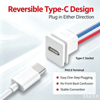Conector de Panel USB-C Blanco LN-015, Tipo-C Hembra Reversible con Cable Preconectado PH2.0 de 4 Pines, 15CM, 24AWG