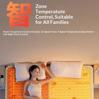 Couverture et matelas chauffants à circulation d'eau avec contrôle double/simple, en tissu non tissé, 220V, usage domestique