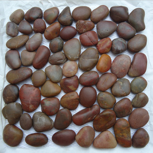 Hỗn Hợp Màu Đánh Bóng Lưới Gắn Kết Đầy Màu Sắc Tự Nhiên Sông Sỏi Đá Gạch Mosaic - Product Image 5