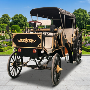 Fabricant de chariots à chevaux électriques de tourisme Victoria personnalisés de qualité supérieure - Product Image 3
