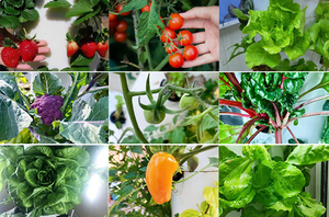 Lyine 2024 Agriculture verticale, tour de jardinage <span class=keywords><strong>hydroponique</strong></span> empilable commerciale, système <span class=keywords><strong>hydroponique</strong></span> vertical - Product Image 4