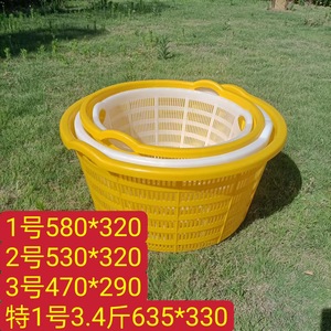 ตะกร้าพลาสติกทรงรี 580x320 มม. พร้อมหูหิ้ว สำหรับบรรจุภัณฑ์ทั่วไป วัสดุ HDPE - Product Image 4