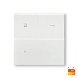 2022 Nieuwe Zigbee 3.0 Smart Switch Oem/Odm Verlichting Controle Systeem Alexa Google Controle 1/2/3/4 gang