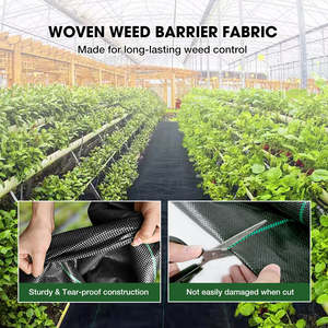 Película de Plástico Negro Biodegradable para Agricultura, para Cultivo de Tomates, Extrusión y Trefilado de Tela PP 70gsm-200gsm <span class=keywords><strong>CHAQ</strong></span> - Product Image 3