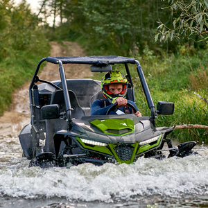 Mới 300cc 4x4 off road <span class=keywords><strong>SxS</strong></span> <span class=keywords><strong>Buggy</strong></span> với Tow Hitch - Product Image 6